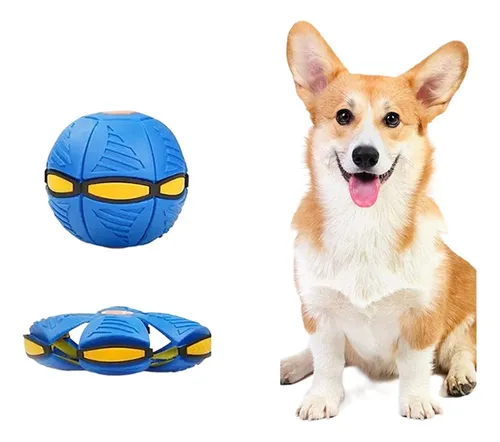 Magic Ball Para Perros Mágica